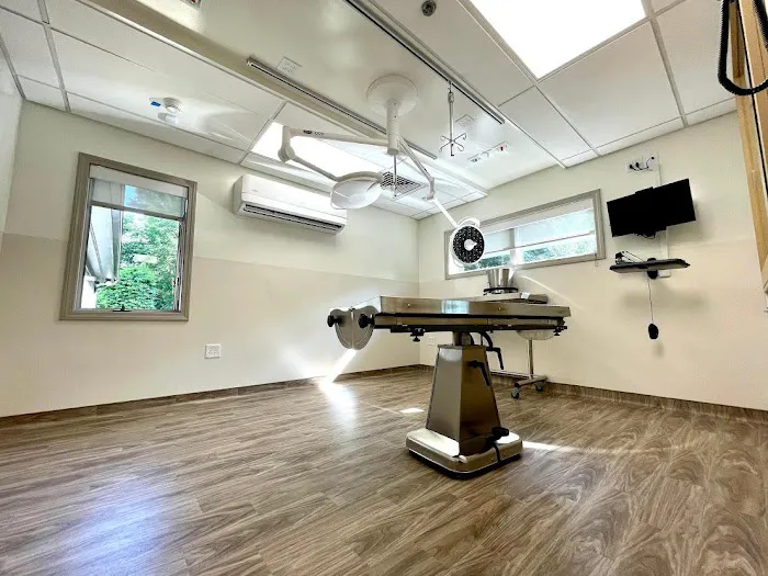 VCA Hanson Animal Hospital 2