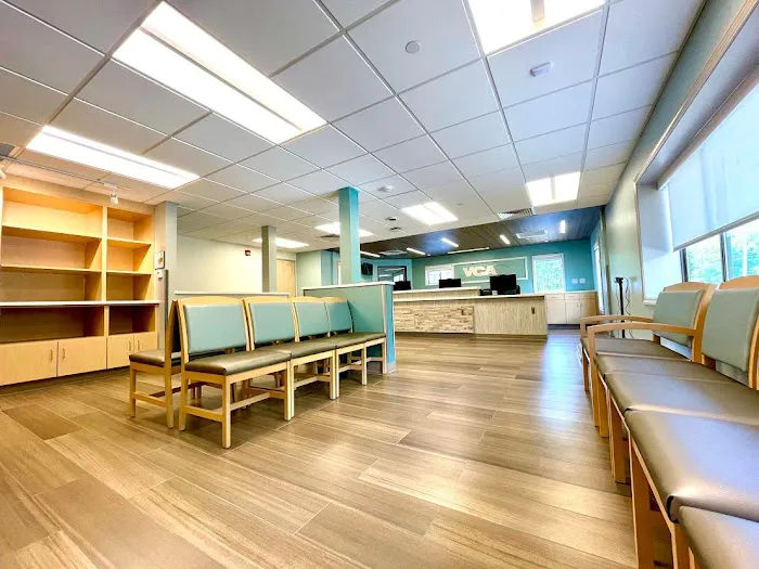 VCA Hanson Animal Hospital 5