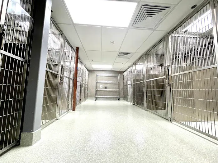 VCA Hanson Animal Hospital 4