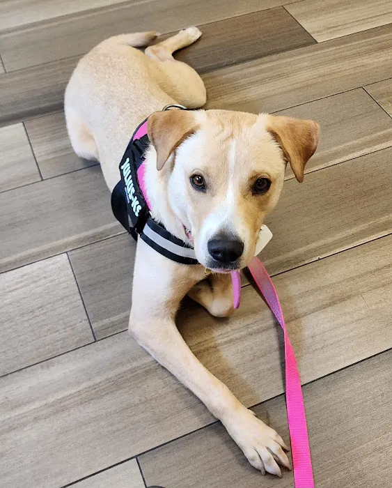 VCA Hanson Animal Hospital 8