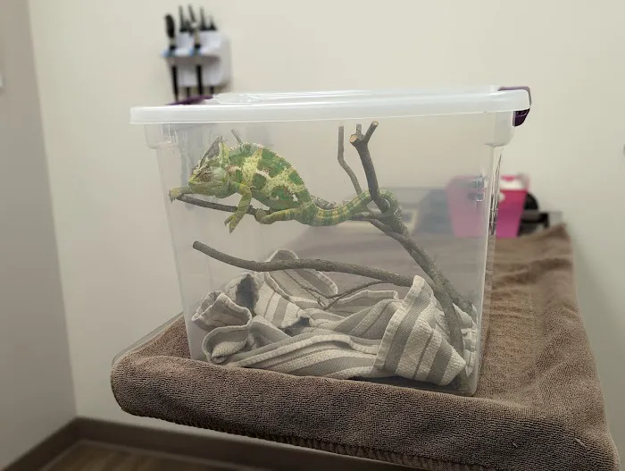 VCA Hanson Animal Hospital 9