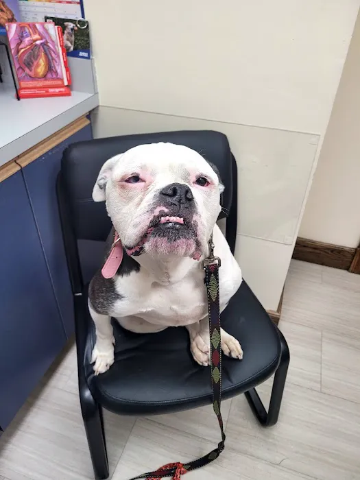 Pembroke Animal Hospital 1