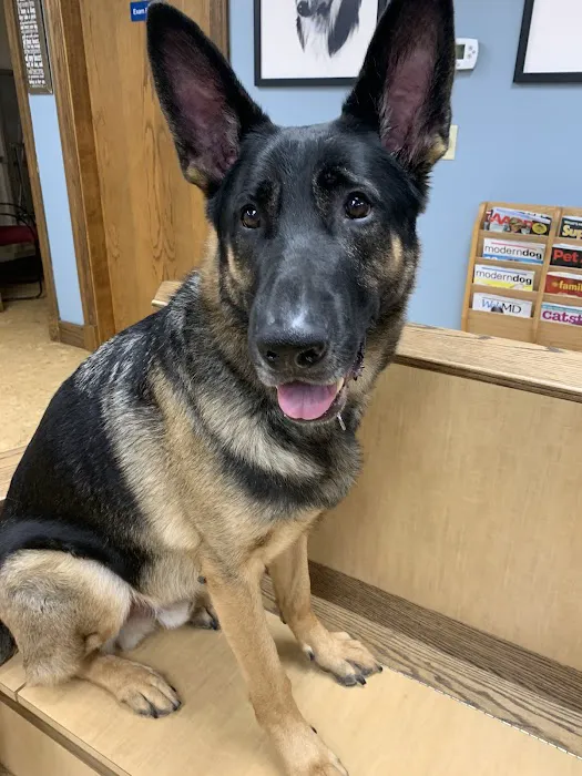Pembroke Animal Hospital 7