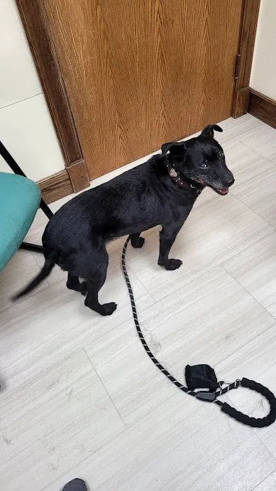 Pembroke Animal Hospital 5