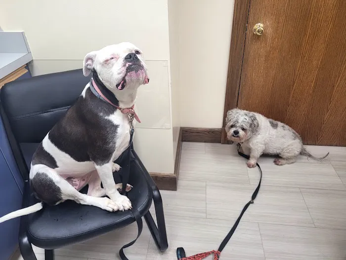 Pembroke Animal Hospital 10