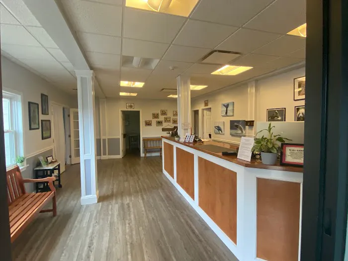 South Shore Animal Services 2