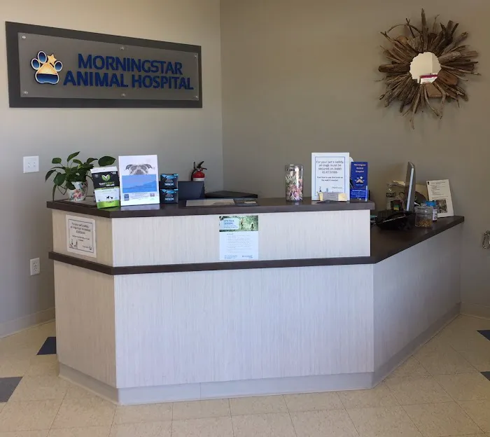 Morningstar Animal Hospital 1