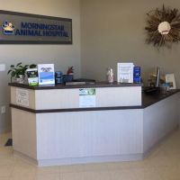 Morningstar Animal Hospital ico