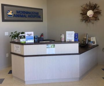 Morningstar Animal Hospital