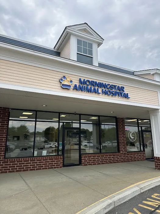 Morningstar Animal Hospital 4