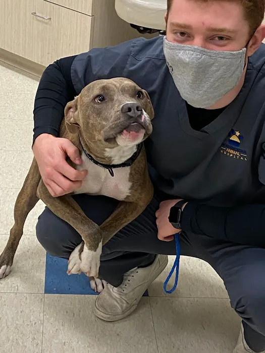 Morningstar Animal Hospital 5