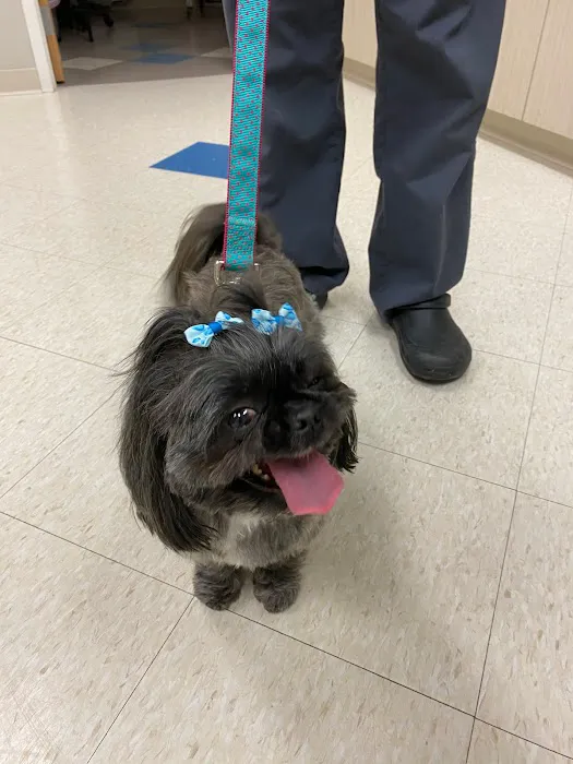 Morningstar Animal Hospital 7