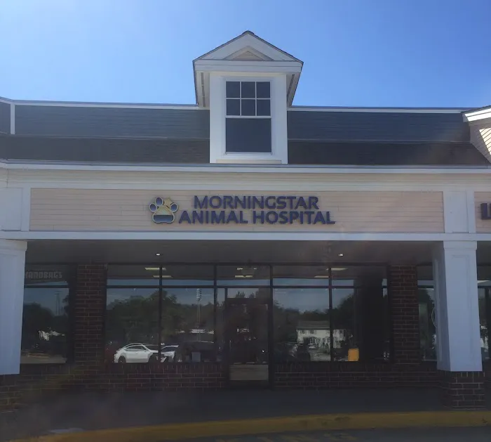 Morningstar Animal Hospital 10