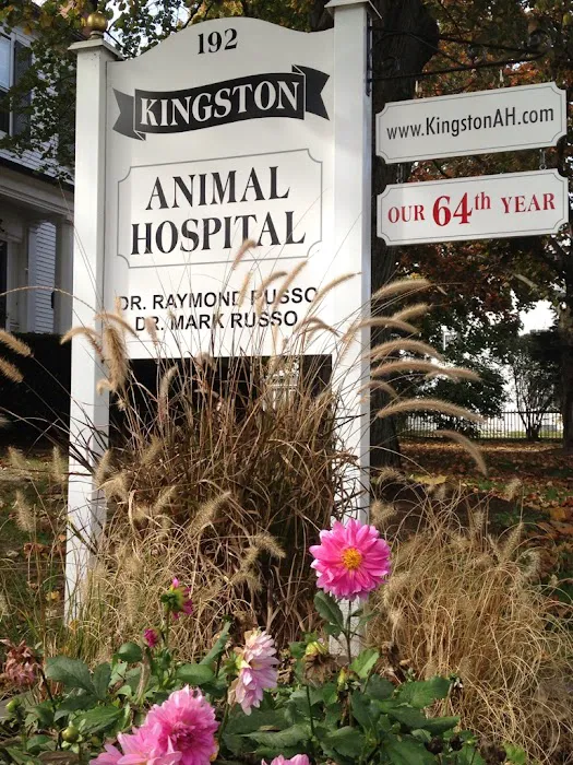 Kingston Animal Hospital 7