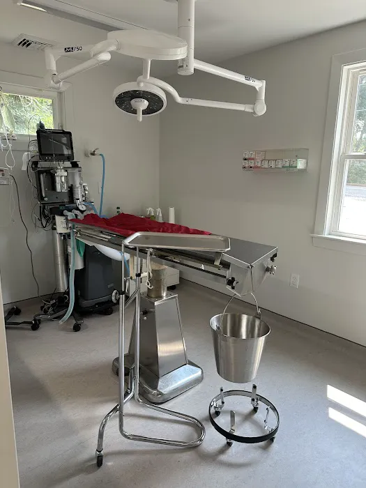 Pine Woods Animal Hospital 1