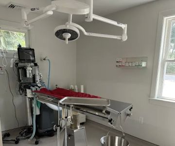 Pine Woods Animal Hospital