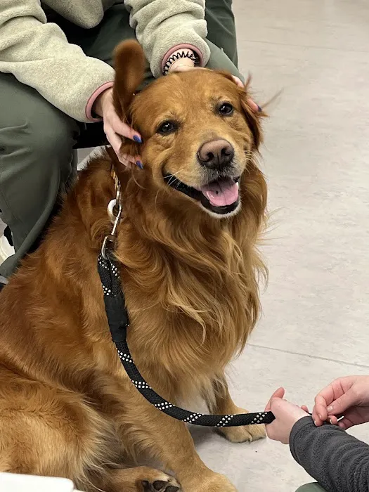 Pine Woods Animal Hospital 5