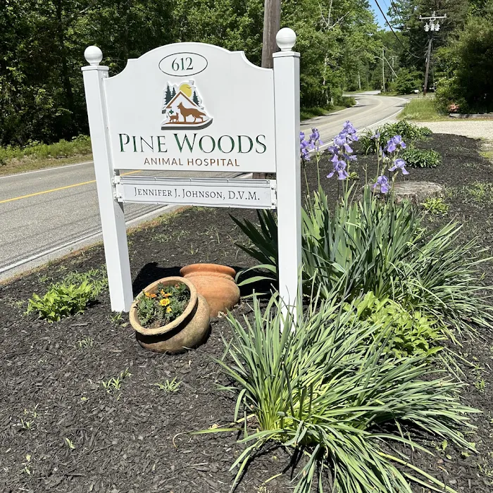 Pine Woods Animal Hospital 3