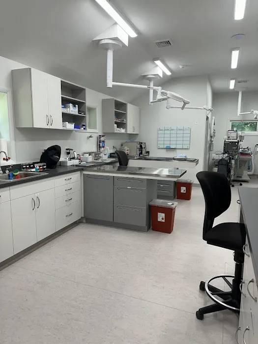 Pine Woods Animal Hospital 6
