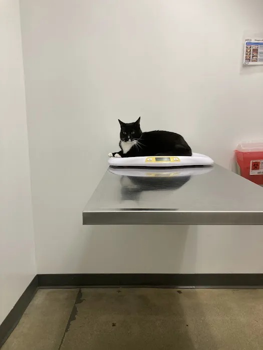 Vetco Total Care Animal Hospital 8