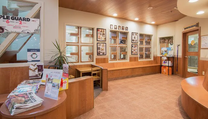 VCA Plymouth Animal Hospital and Pet Resort 3