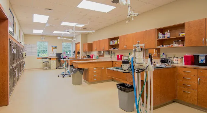 VCA Plymouth Animal Hospital and Pet Resort 4