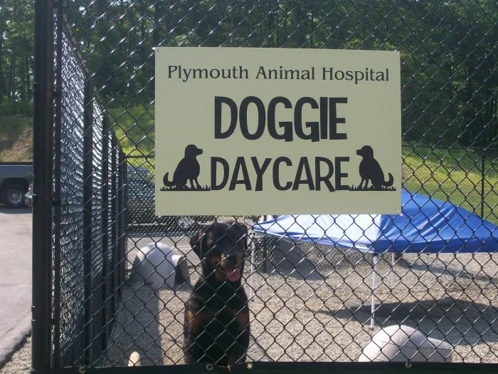 VCA Plymouth Animal Hospital and Pet Resort 10
