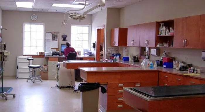 VCA Plymouth Animal Hospital and Pet Resort 7