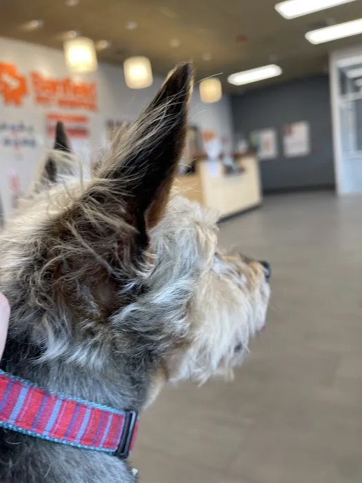 Banfield Pet Hospital 4