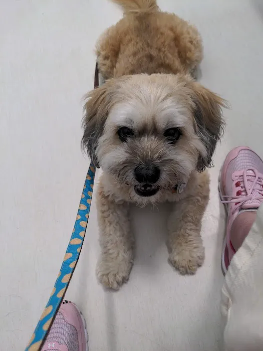 Veterinary Urgent Care Center - Plymouth 6