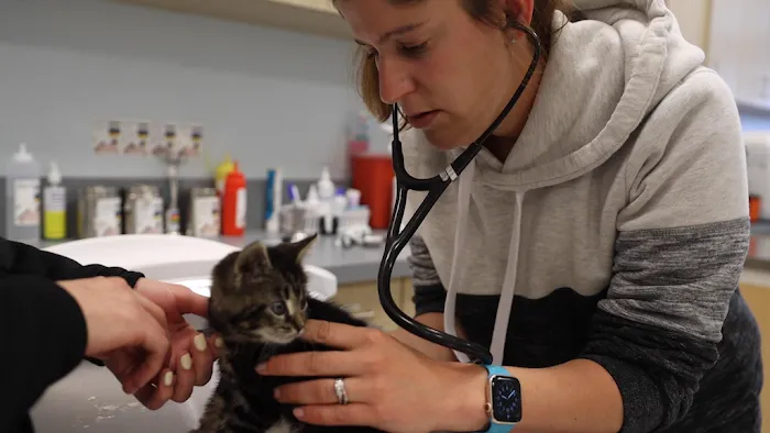 Veterinary Urgent Care Center - Plymouth 2