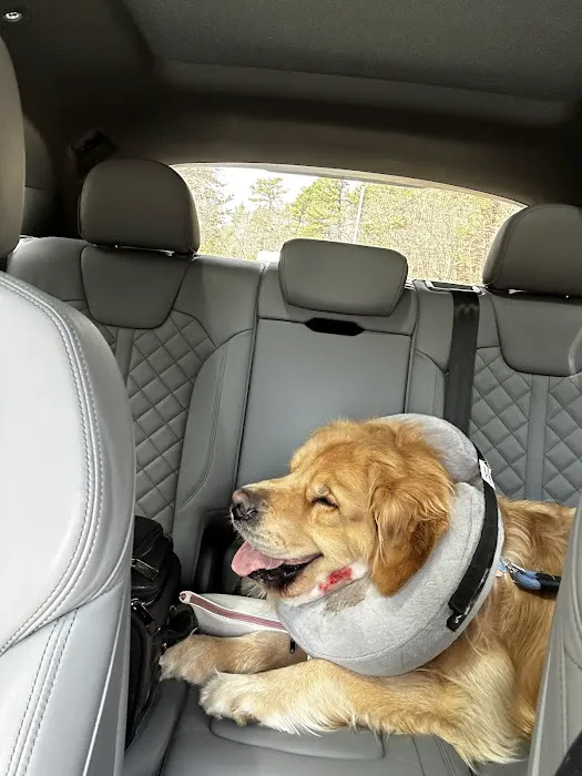 Veterinary Urgent Care Center - Plymouth 1