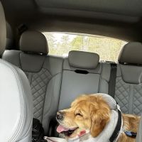 Veterinary Urgent Care Center - Plymouth ico