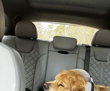 Veterinary Urgent Care Center - Plymouth