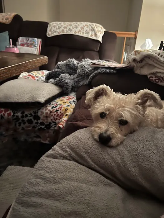 Veterinary Urgent Care Center - Plymouth 4