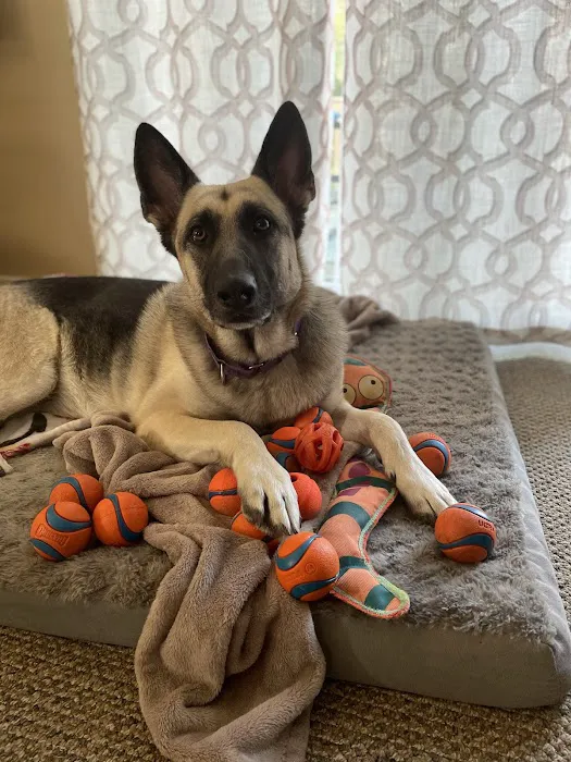 Veterinary Urgent Care Center - Plymouth 10