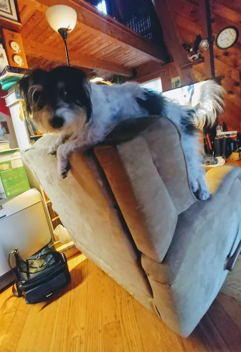 Pilgrim Animal Hospital 9