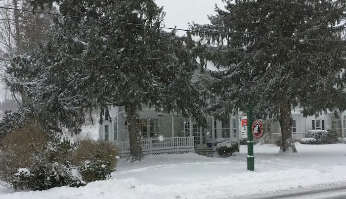 Court Street Animal Hospital 1