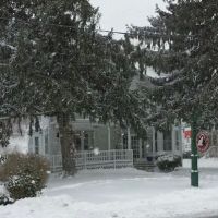 Court Street Animal Hospital ico