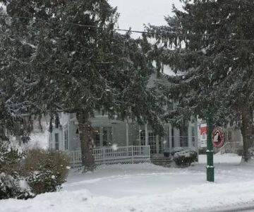 Court Street Animal Hospital