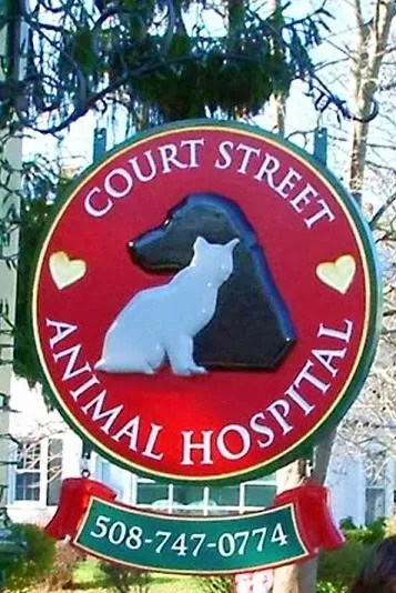 Court Street Animal Hospital 2