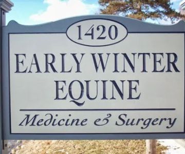 Early Winter Equine Medicine