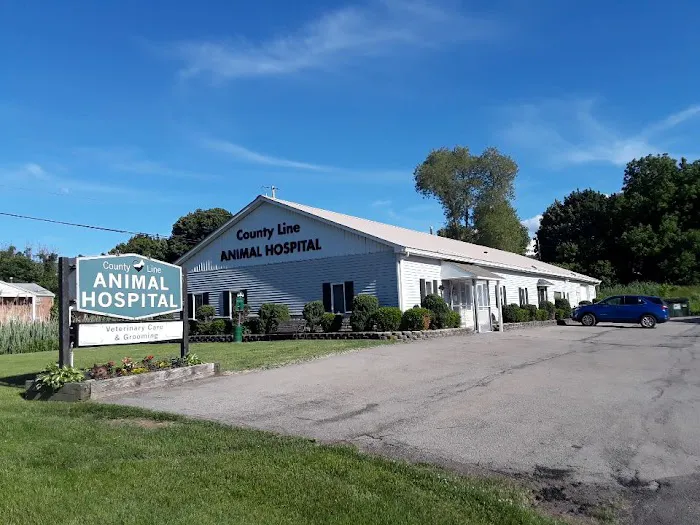 County Line Animal Hospital 1