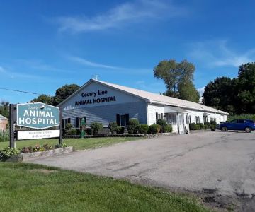 County Line Animal Hospital