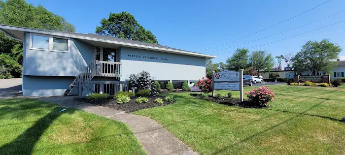 Webster Veterinary Clinic 4