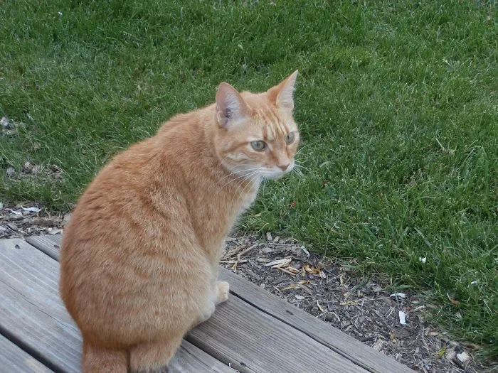 Webster Veterinary Clinic 9