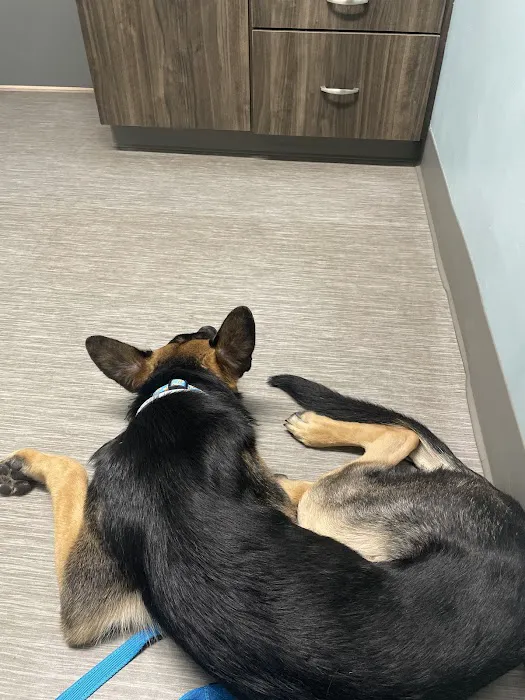 Webster Veterinary Clinic 8