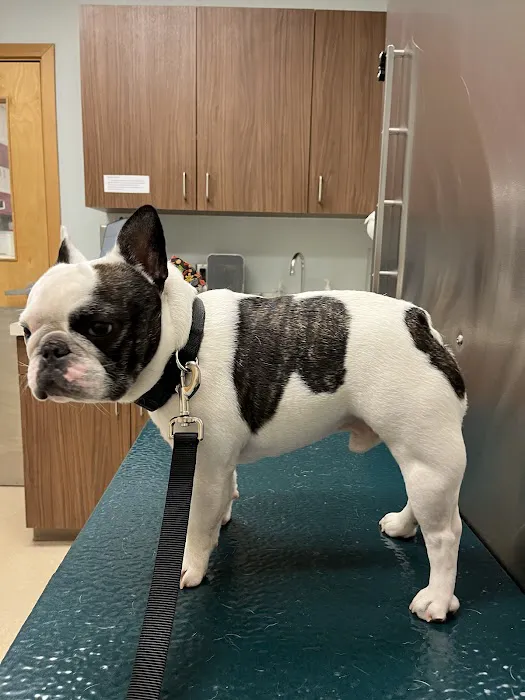 Clark Animal Care Center 1
