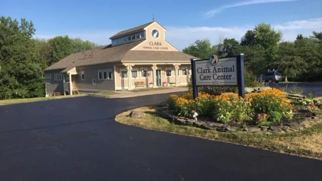 Clark Animal Care Center 5
