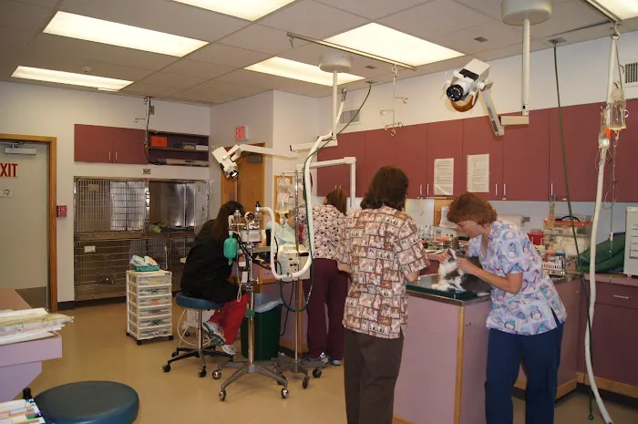 Clark Animal Care Center 3